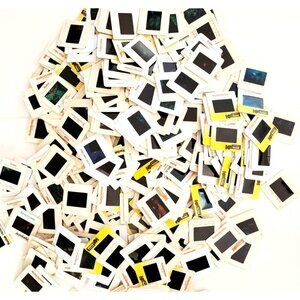 1980-90s HUGE Sea Life Bulk Lot Of 475 Pcs 35mm Slides Ocean Coral Fish E50C